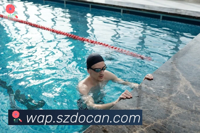 App Interface Preview