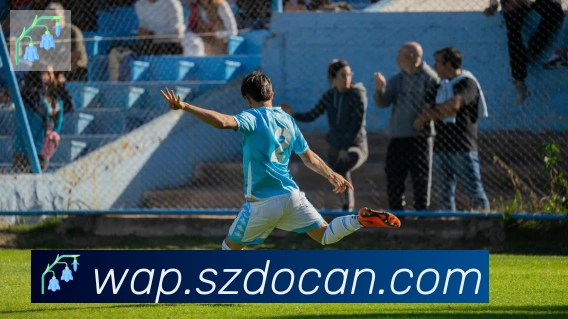 华体app登录入口荣誉