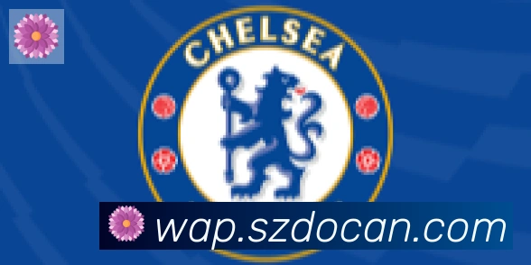 华体app登录入口合作伙伴