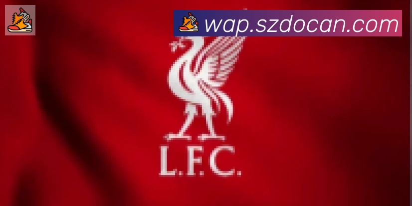 华体app登录入口合作伙伴